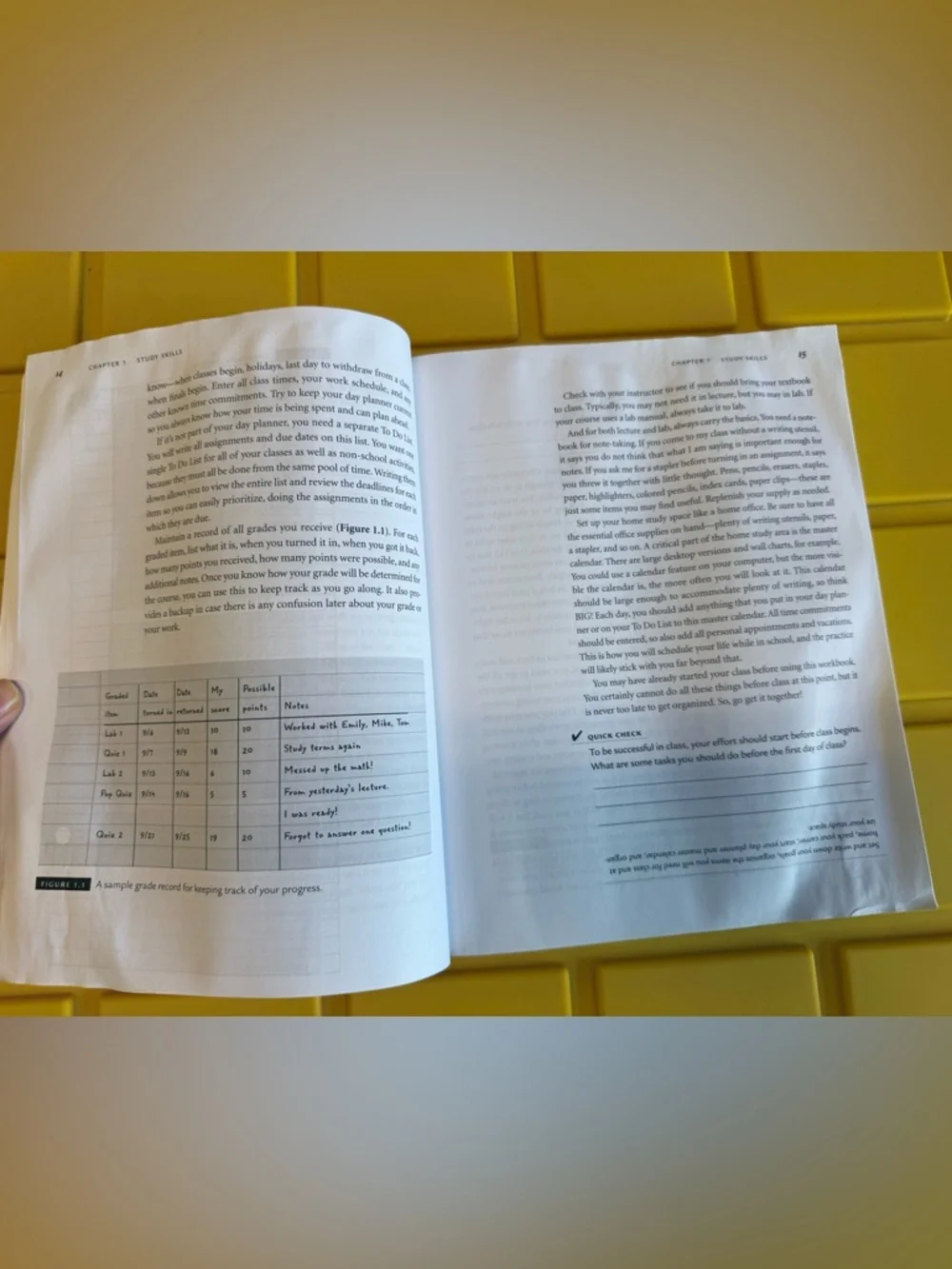 Get Ready for A&P Study Guide - Picture 2 of 5